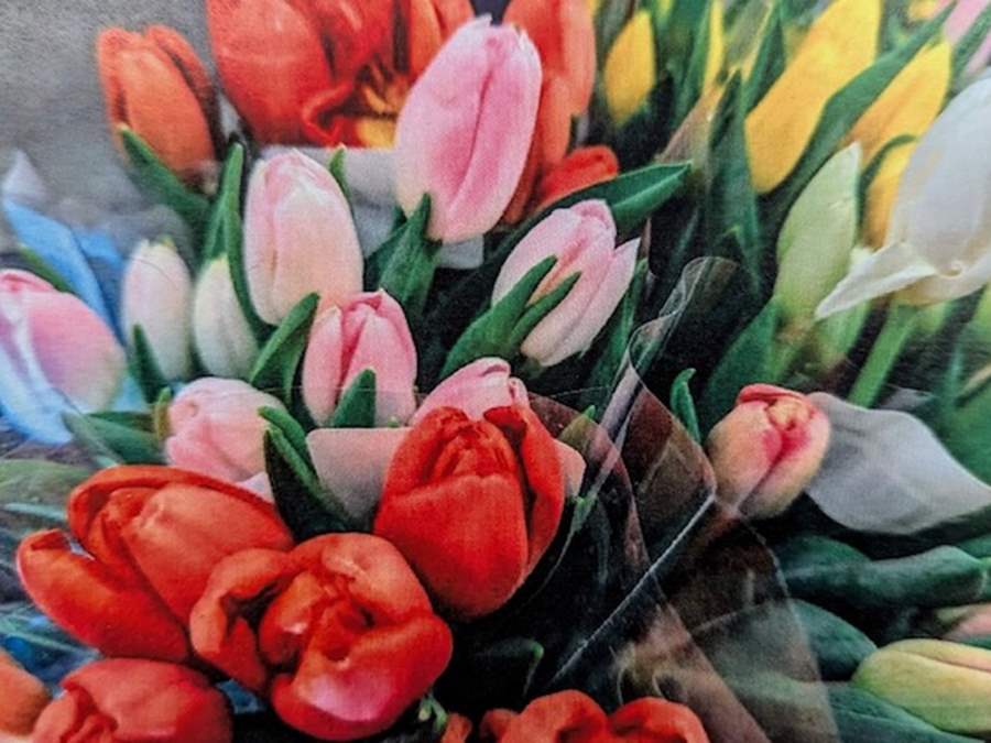 Floral Card